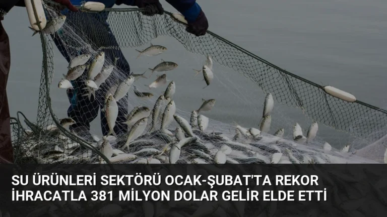 Su Ürünleri Sektörü Ocak-Şubat’ta Rekor İhracatla 381 Milyon Dolar Gelir Elde Etti