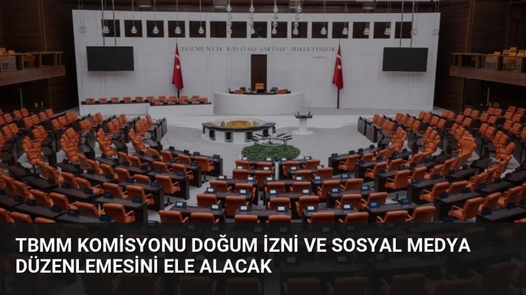 TBMM Komisyonu Doğum İzni ve Sosyal Medya Düzenlemesini Ele Alacak