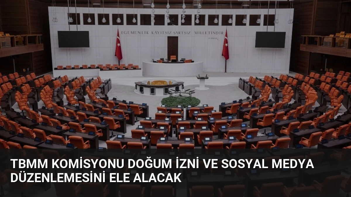 TBMM Komisyonu Doğum İzni ve Sosyal Medya Düzenlemesini Ele Alacak