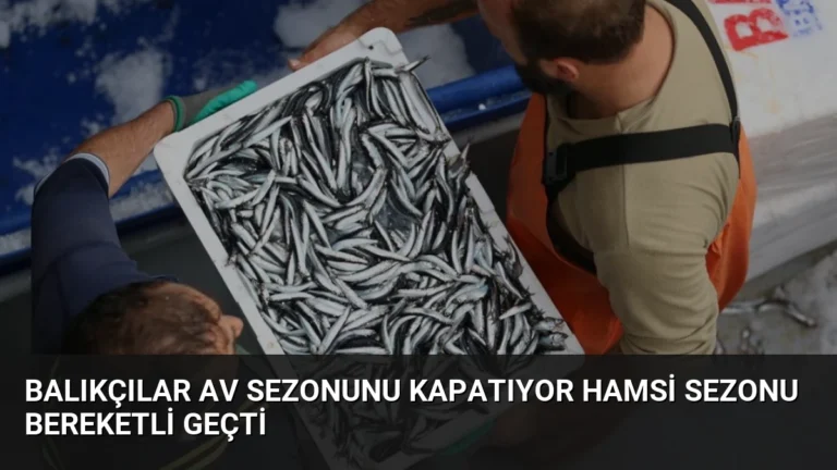 Balıkçılar Av Sezonunu Kapatıyor Hamsi Sezonu Bereketli Geçti