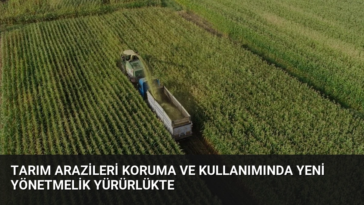 Tarım Arazileri Koruma ve Kullanımında Yeni Yönetmelik Yürürlükte