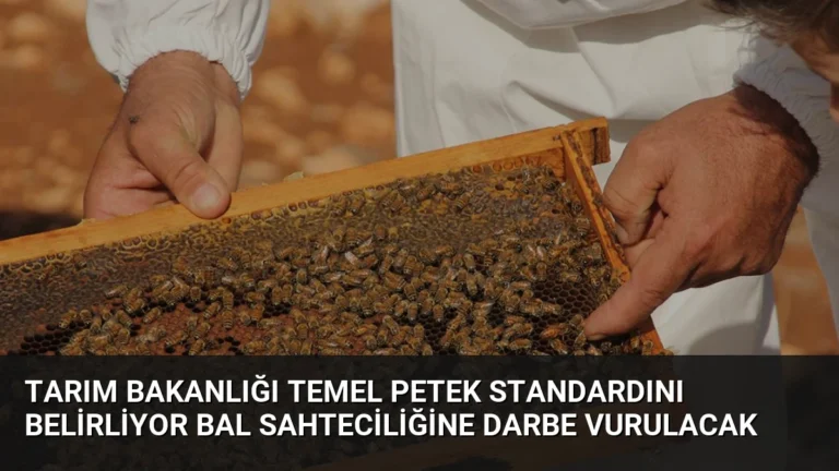 Tarım Bakanlığı Temel Petek Standardını Belirliyor Bal Sahteciliğine Darbe Vurulacak