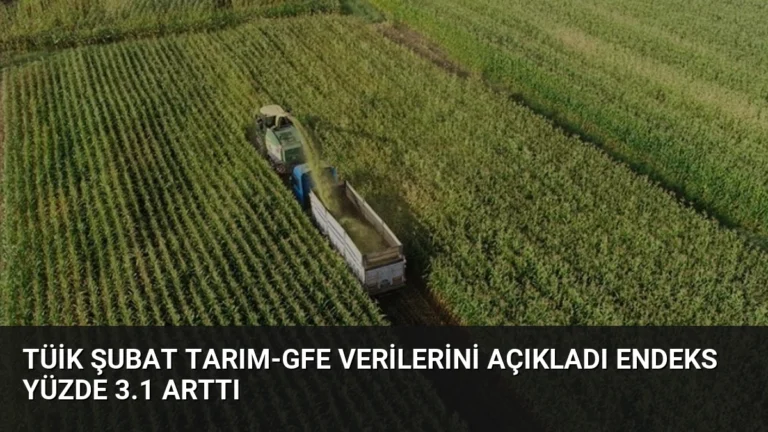 TÜİK Şubat Tarım-GFE Verilerini Açıkladı Endeks Yüzde 3.1 Arttı