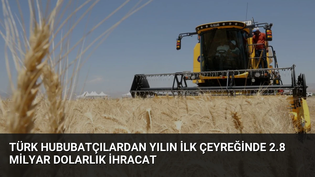 Türk Hububatçılardan Yılın İlk Çeyreğinde 2.8 Milyar Dolarlık İhracat