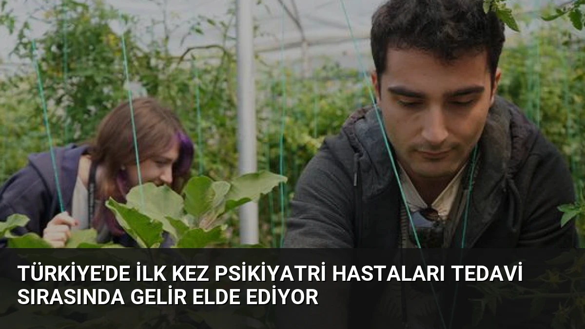 Türkiye’de İlk Kez Psikiyatri Hastaları Tedavi Sırasında Gelir Elde Ediyor