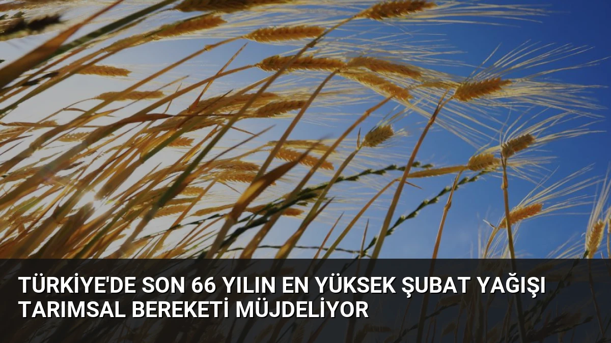 Türkiye’de Son 66 Yılın En Yüksek Şubat Yağışı Tarımsal Bereketi Müjdeliyor