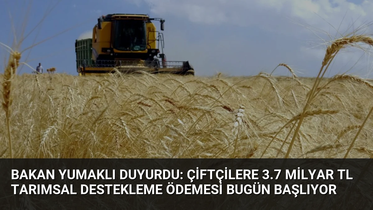 Bakan Yumaklı Duyurdu: Çiftçilere 3.7 Milyar TL Tarımsal Destekleme Ödemesi Bugün Başlıyor