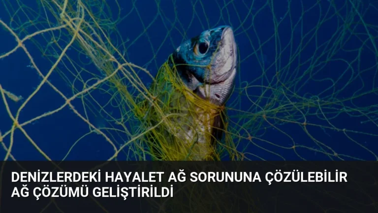 Denizlerdeki Hayalet Ağ Sorununa Çözülebilir Ağ Çözümü Geliştirildi