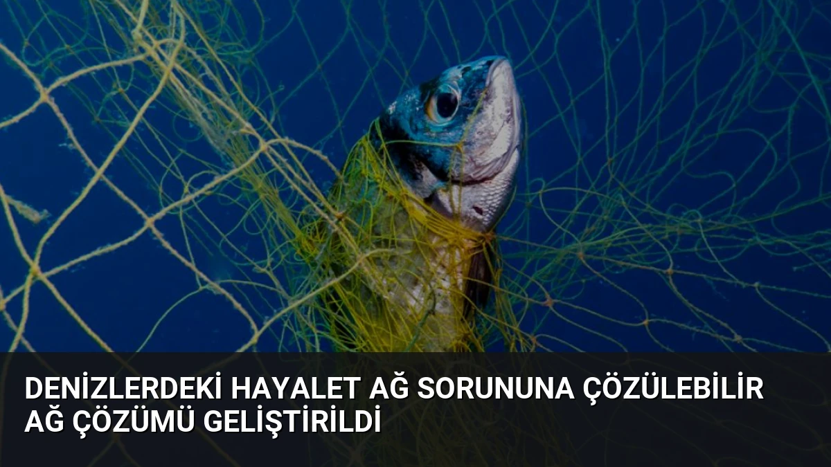 Denizlerdeki Hayalet Ağ Sorununa Çözülebilir Ağ Çözümü Geliştirildi