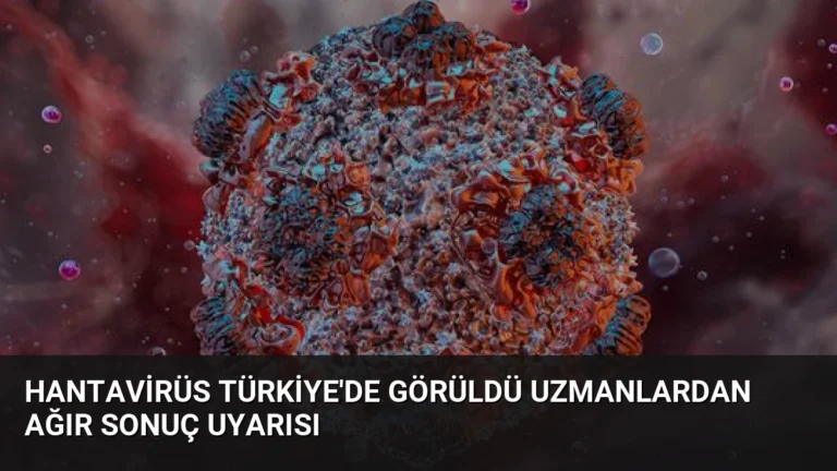 Hantavirüs Türkiye’de Görüldü Uzmanlardan Ağır Sonuç Uyarısı