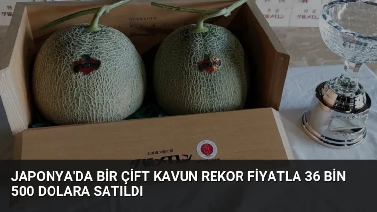 Japonya’da Bir Çift Kavun Rekor Fiyatla 36 Bin 500 Dolara Satıldı