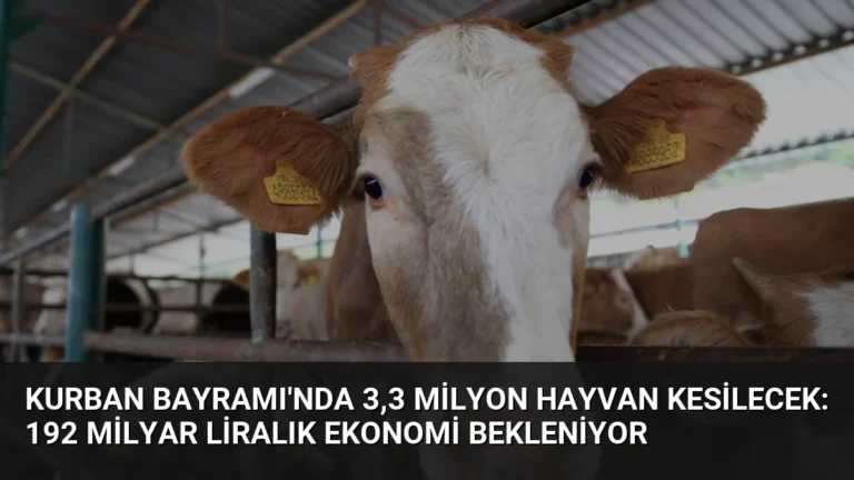 Kurban Bayramı’nda 3,3 Milyon Hayvan Kesilecek: 192 Milyar Liralık Ekonomi Bekleniyor