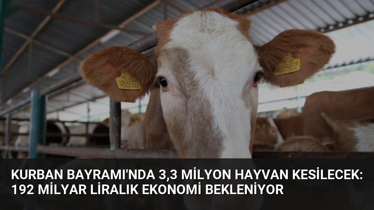 Kurban Bayramı’nda 3,3 Milyon Hayvan Kesilecek: 192 Milyar Liralık Ekonomi Bekleniyor