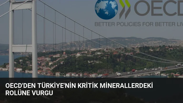 OECD’den Türkiye’nin Kritik Minerallerdeki Rolüne Vurgu