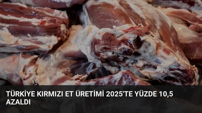 Türkiye Kırmızı Et Üretimi 2025’te Yüzde 10,5 Azaldı