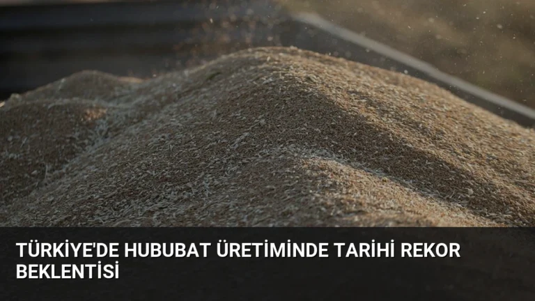 Türkiye’de Hububat Üretiminde Tarihi Rekor Beklentisi