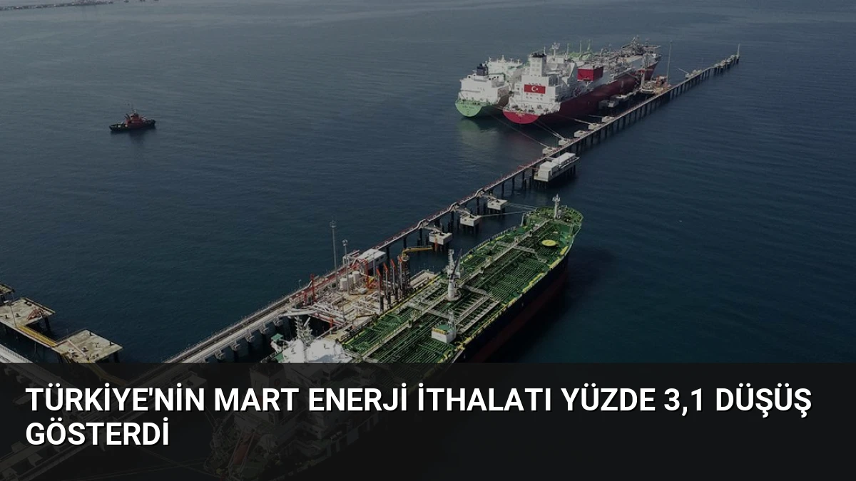Türkiye’nin Mart Enerji İthalatı Yüzde 3,1 Düşüş Gösterdi