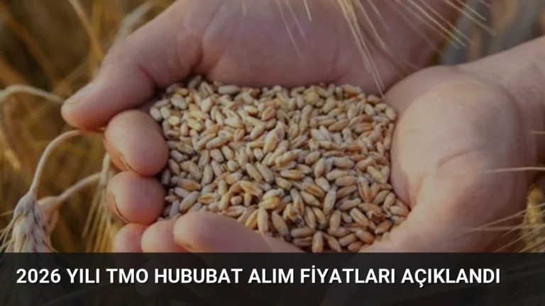 2026 Yılı TMO Hububat Alım Fiyatları Açıklandı