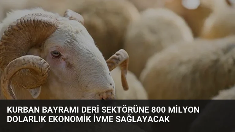 Kurban Bayramı Deri Sektörüne 800 Milyon Dolarlık Ekonomik İvme Sağlayacak