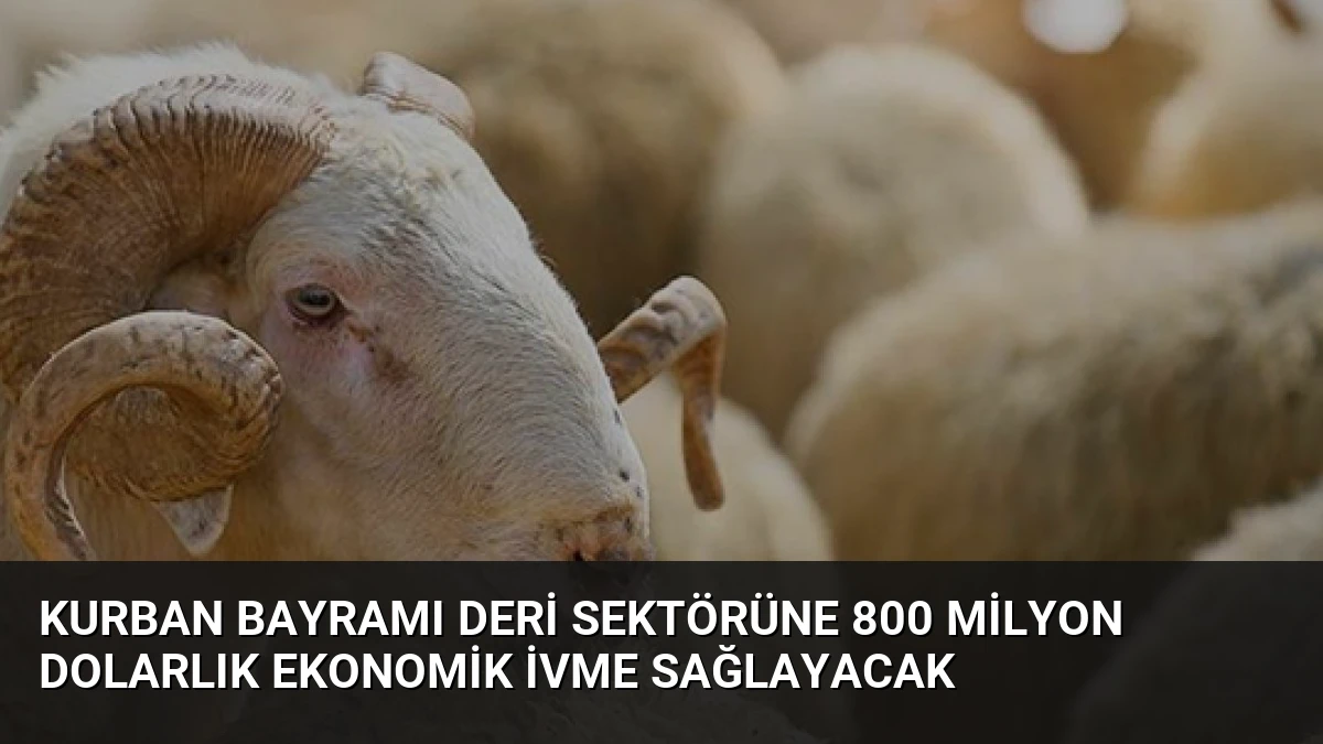 Kurban Bayramı Deri Sektörüne 800 Milyon Dolarlık Ekonomik İvme Sağlayacak