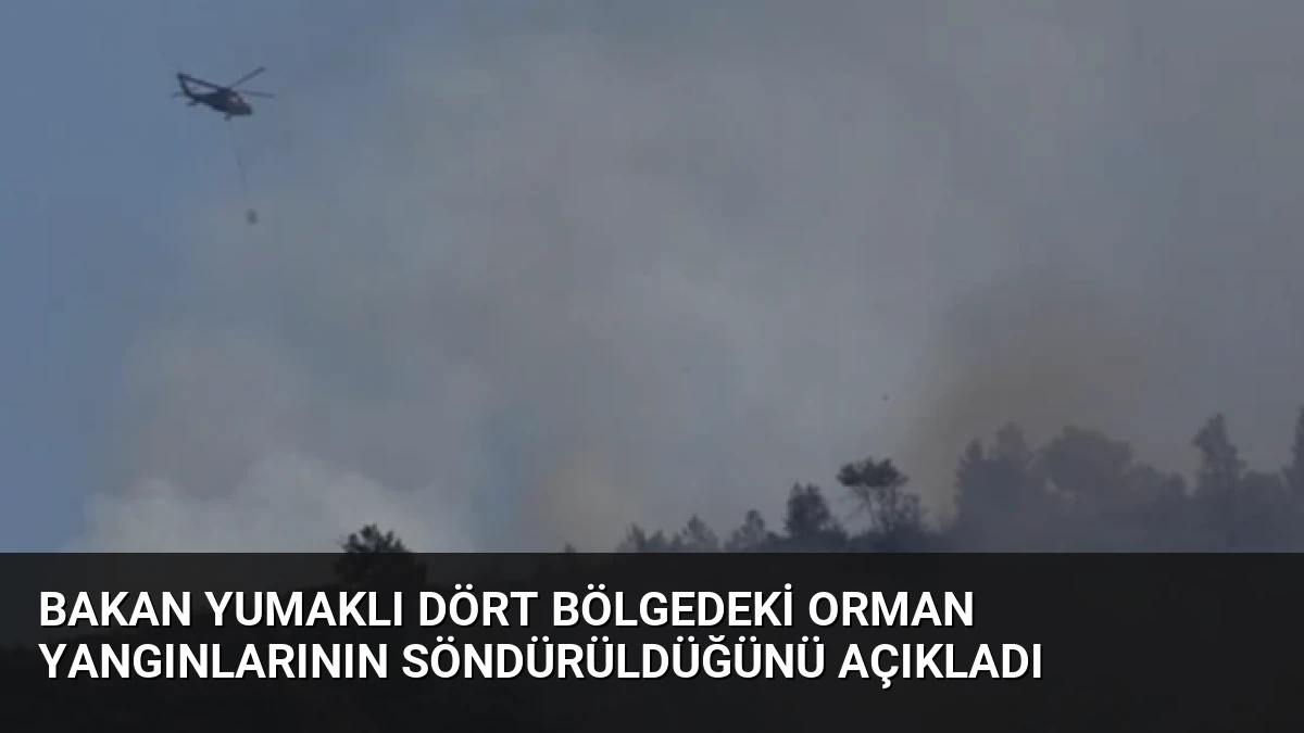Bakan Yumaklı Dört Bölgedeki Orman Yangınlarının Söndürüldüğünü Açıkladı