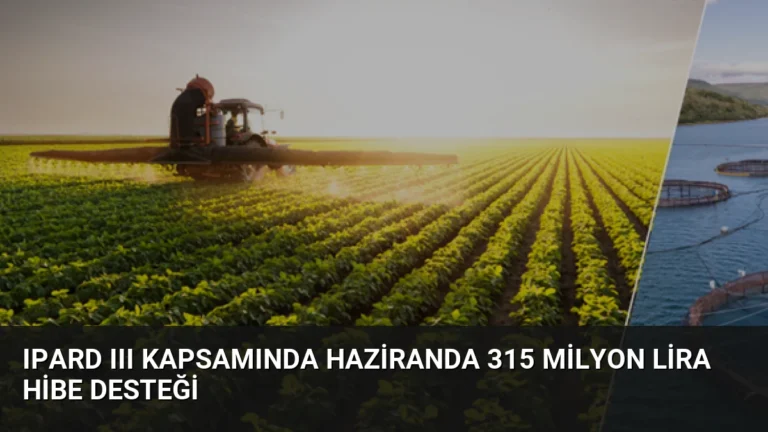 IPARD III Kapsamında Haziranda 315 Milyon Lira Hibe Desteği