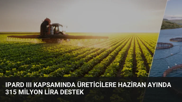 IPARD III Kapsamında Üreticilere Haziran Ayında 315 Milyon Lira Destek