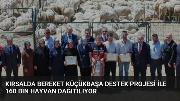 Kırsalda Bereket Küçükbaşa Destek Projesi ile 160 bin hayvan dağıtılıyor