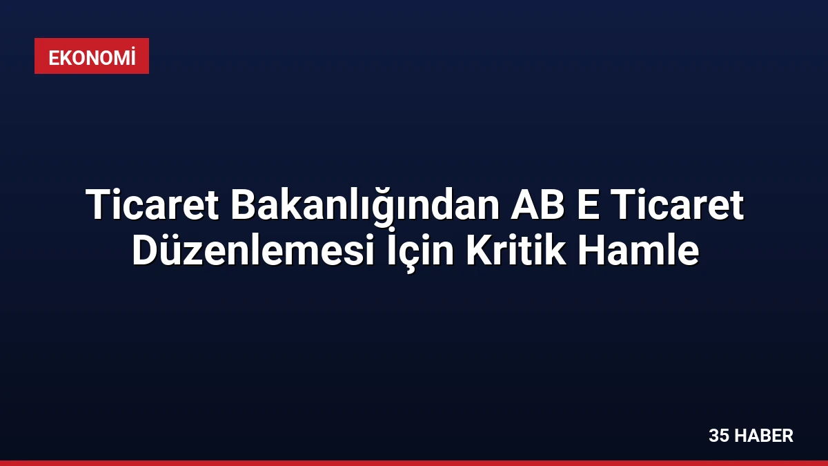 Ticaret Bakanlığından AB E Ticaret Düzenlemesi İçin Kritik Hamle