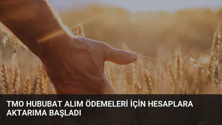 TMO Hububat Alım Ödemeleri İçin Hesaplara Aktarıma Başladı