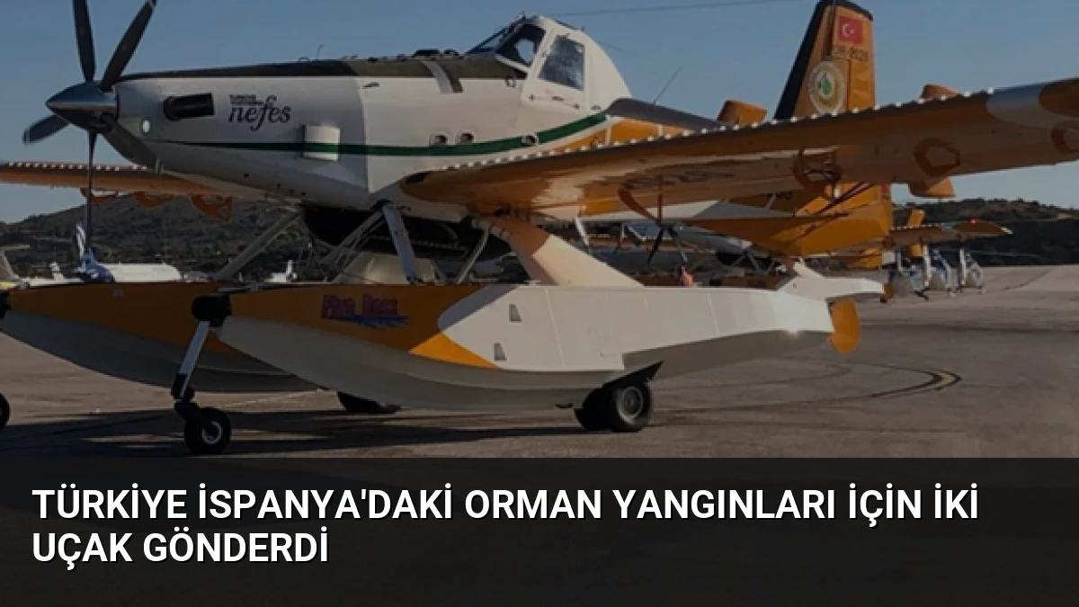 Türkiye İspanya’daki Orman Yangınları İçin İki Uçak Gönderdi