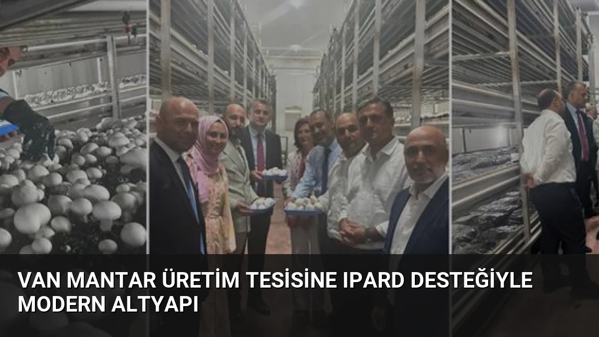 Van Mantar Üretim Tesisine IPARD Desteğiyle Modern Altyapı