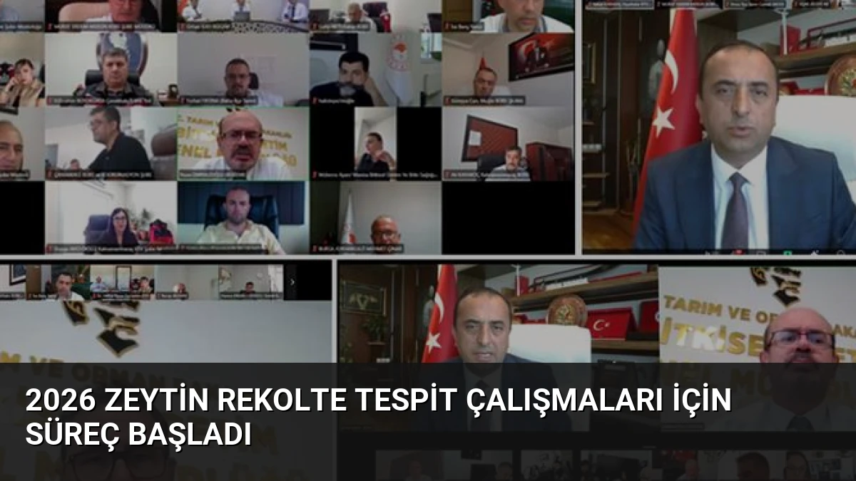 2026 Zeytin Rekolte Tespit Çalışmaları İçin Süreç Başladı