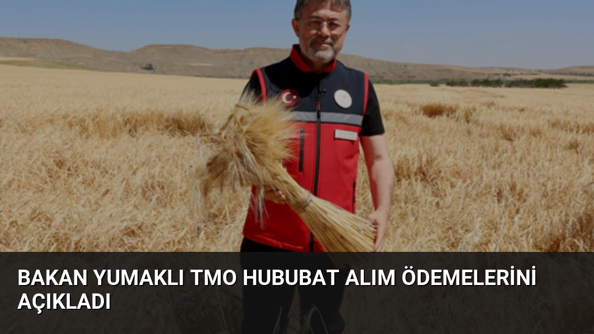 Bakan Yumaklı TMO Hububat Alım Ödemelerini Açıkladı
