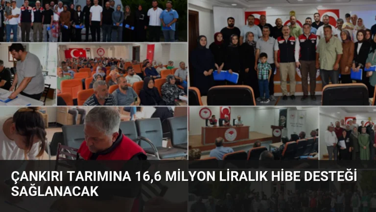 Çankırı Tarımına 16,6 Milyon Liralık Hibe Desteği Sağlanacak