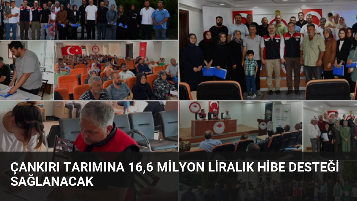 Çankırı Tarımına 16,6 Milyon Liralık Hibe Desteği Sağlanacak