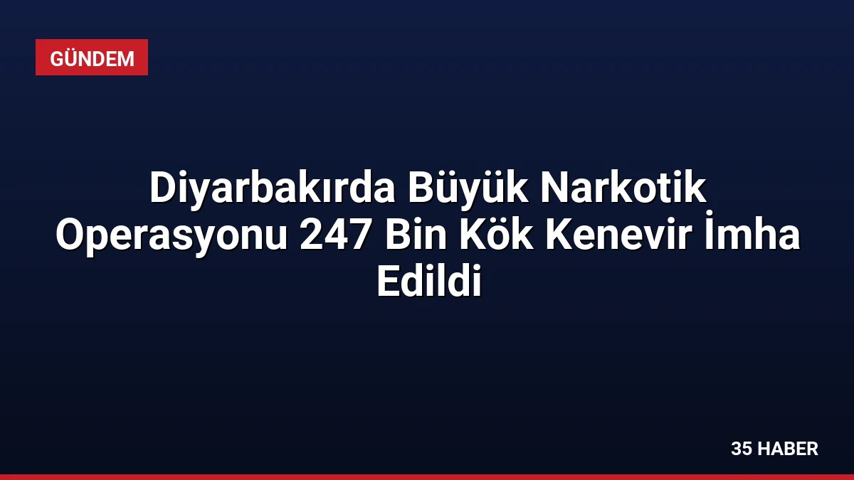 Diyarbakırda Büyük Narkotik Operasyonu 247 Bin Kök Kenevir İmha Edildi