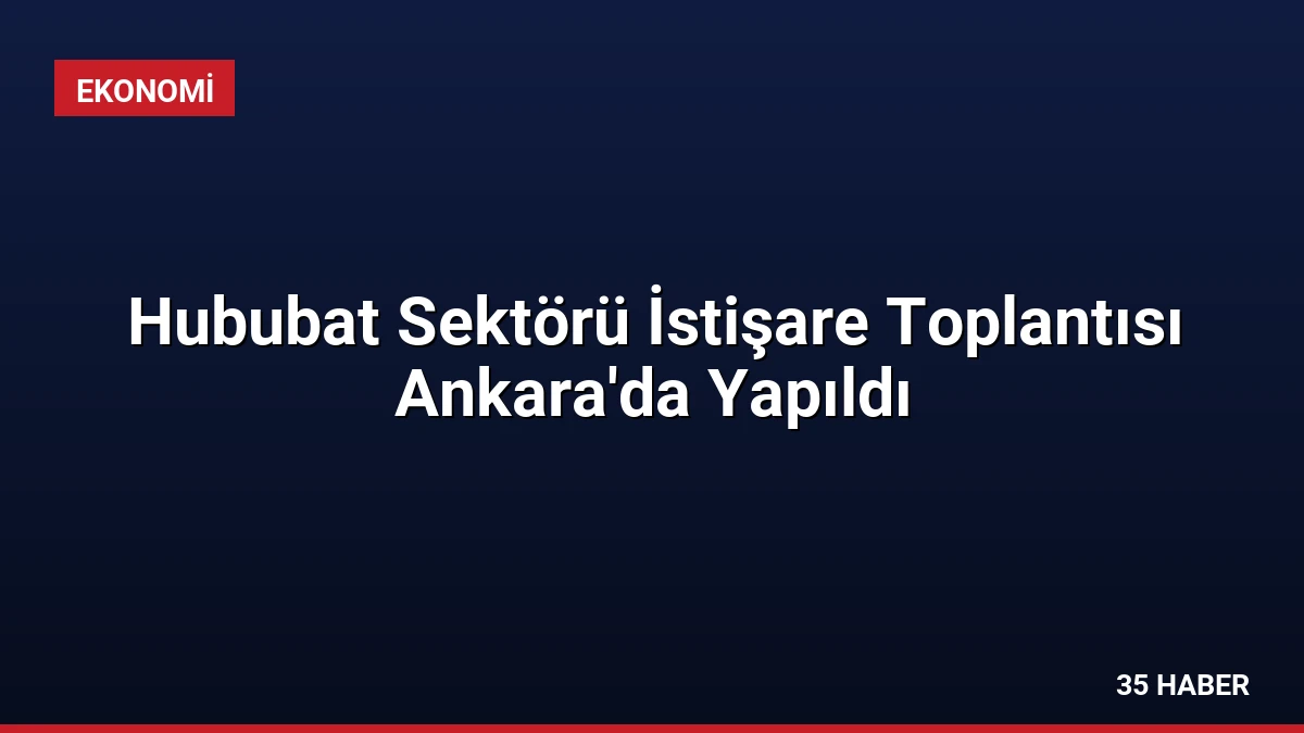Hububat Sektörü İstişare Toplantısı Ankara’da Yapıldı