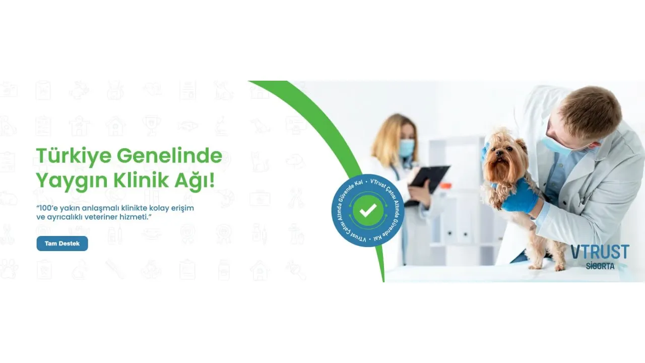 Evcil Hayvan Sigortası İçin Mikroçip Zorunluluğu Ve Kayıt Şartları