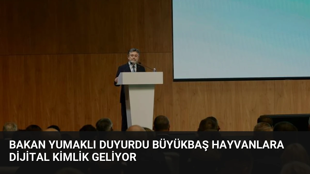 Bakan Yumaklı Duyurdu Büyükbaş Hayvanlara Dijital Kimlik Geliyor
