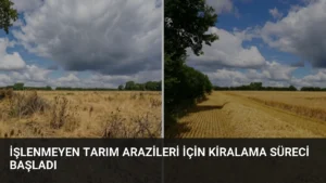 İşlenmeyen Tarım Arazileri İçin Kiralama Süreci Başladı