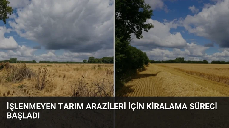 İşlenmeyen Tarım Arazileri İçin Kiralama Süreci Başladı