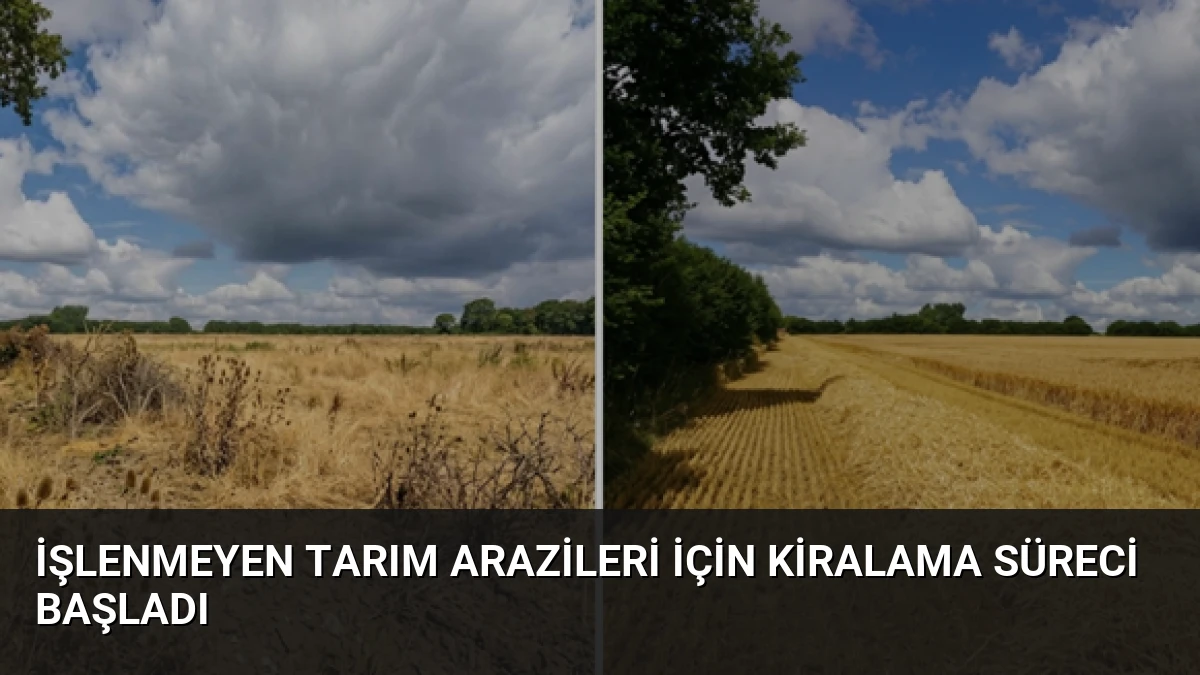 İşlenmeyen Tarım Arazileri İçin Kiralama Süreci Başladı
