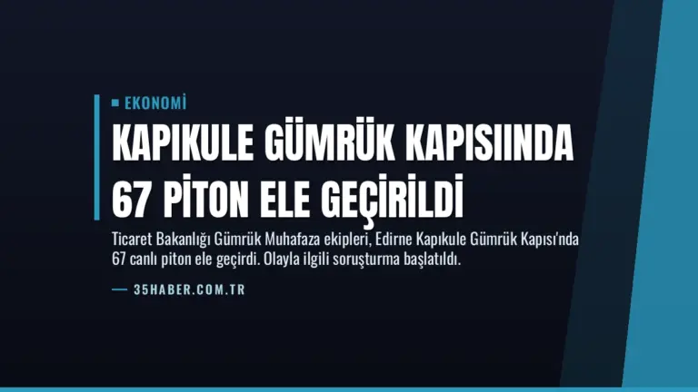 Kapıkule Gümrük Kapısıında 67 Piton Ele Geçirildi