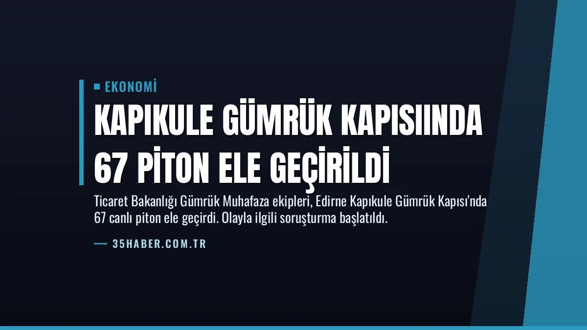 Kapıkule Gümrük Kapısıında 67 Piton Ele Geçirildi