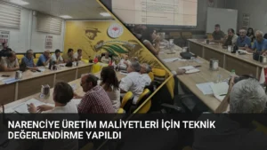 Narenciye Üretim Maliyetleri İçin Teknik Değerlendirme Yapıldı