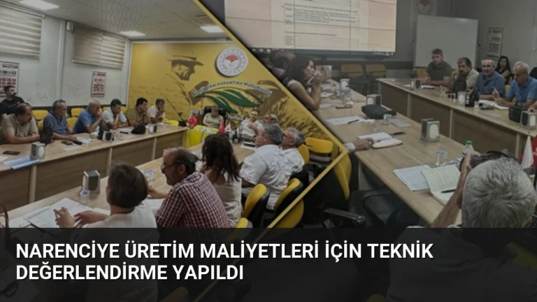 Narenciye Üretim Maliyetleri İçin Teknik Değerlendirme Yapıldı