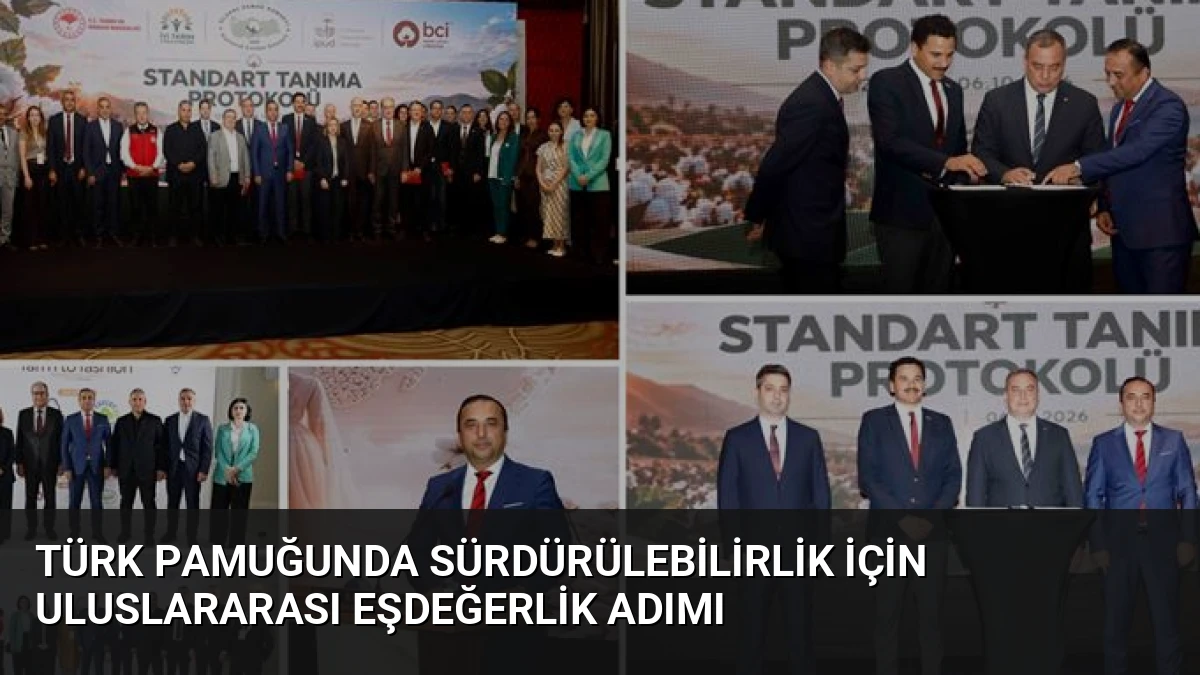 Türk Pamuğunda Sürdürülebilirlik İçin Uluslararası Eşdeğerlik Adımı